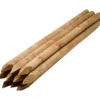 Aitatolppa ruskea pyöreä, 50 x 1500 mm