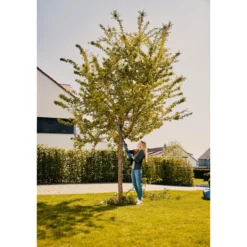Akkuoksaleikkuri Gardena EasyCut 110/18V P4A