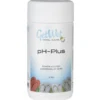 Allasveden pH-arvoa nostava jauhe GetWet pH-Plus, 1 kg