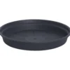 Alunen Gardenico Camelie 10 cm