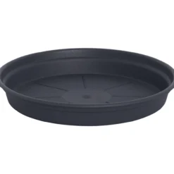 Alunen Gardenico Camelie 10 cm