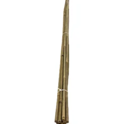 Bambukeppi Tok Garden 120 cm 10 kpl