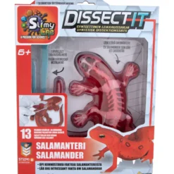 Dissect it Salamanteri
