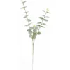 Eukalyptusoksa Kotikulta 74 cm