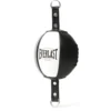 Everlast 1910 lattia/kattopallo L