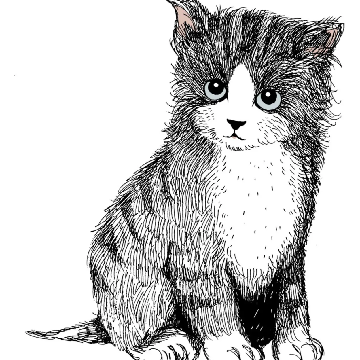 Heijastin Kiilu C Vallila Kitties pentu