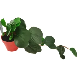Herttaposliinikukka Kotikulta 38 cm ruukussa