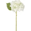 Hortensia Kotikulta 32 cm valkoinen
