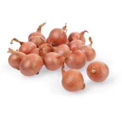 Istukassipuli salottisipuli Red Sun 500 g Golden Selection