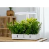 Kasvivalo Airam Daisy 20W/835 1350lm