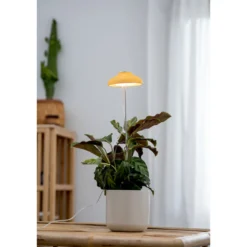 Kasvivalo Airam Iris 5W/835 240lm keltainen
