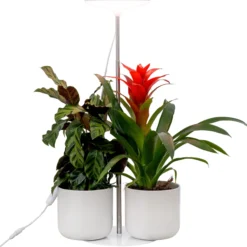 Kasvivalo Airam Ivy 14W/835 650lm
