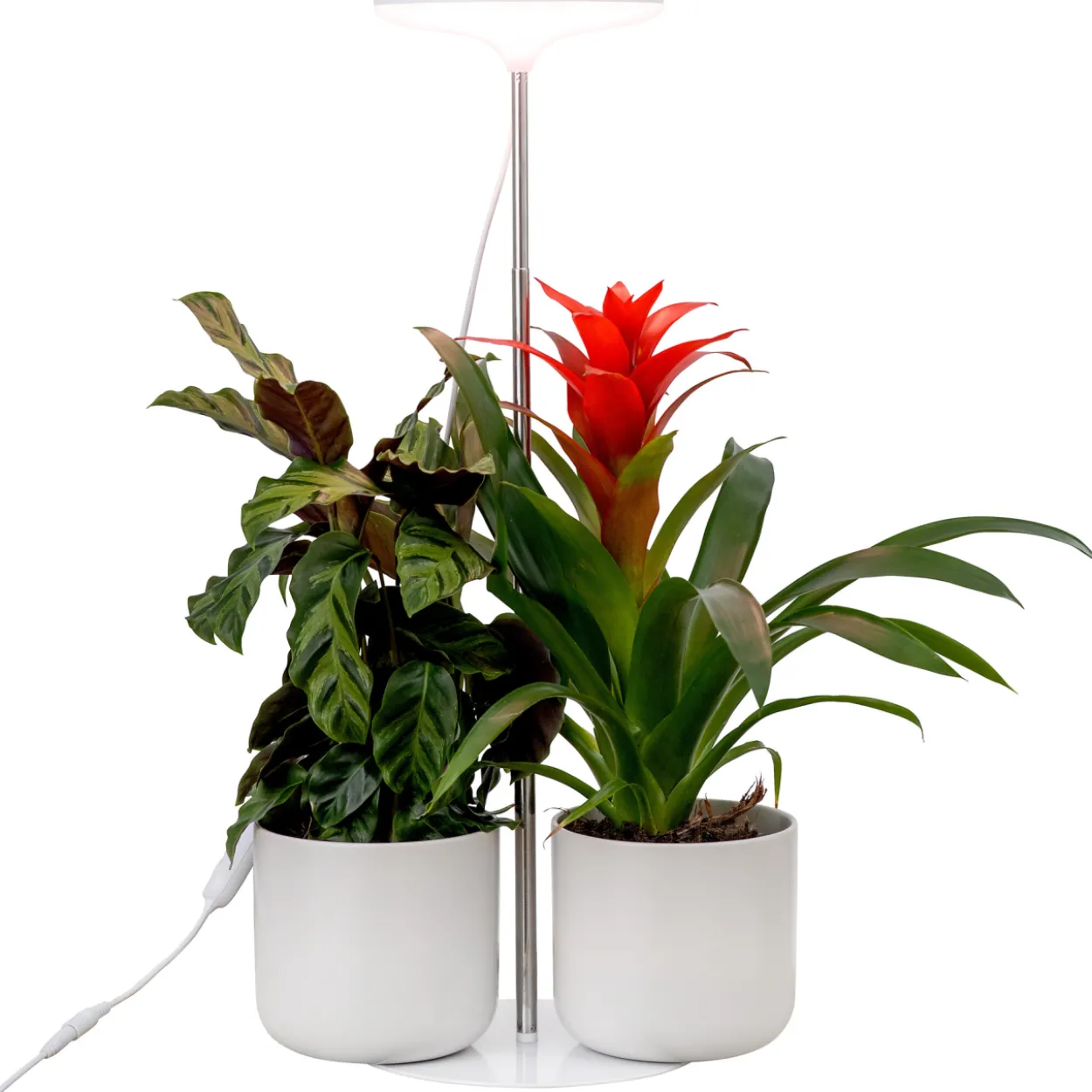 Kasvivalo Airam Ivy 14W/835 650lm