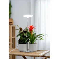 Kasvivalo Airam Ivy 14W/835 650lm