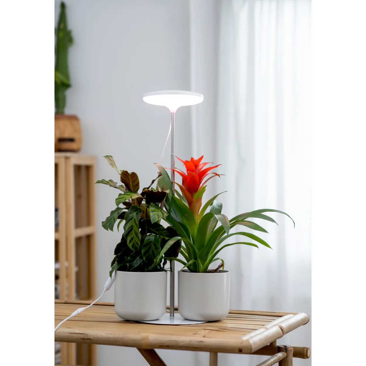 Kasvivalo Airam Ivy 14W/835 650lm