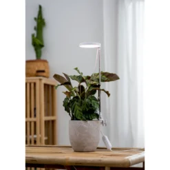 Kasvivalo Airam Rose 10E 290lm USB
