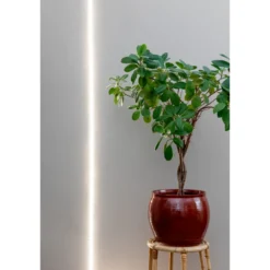Kasvivalo LED Strip valonauha 2 m