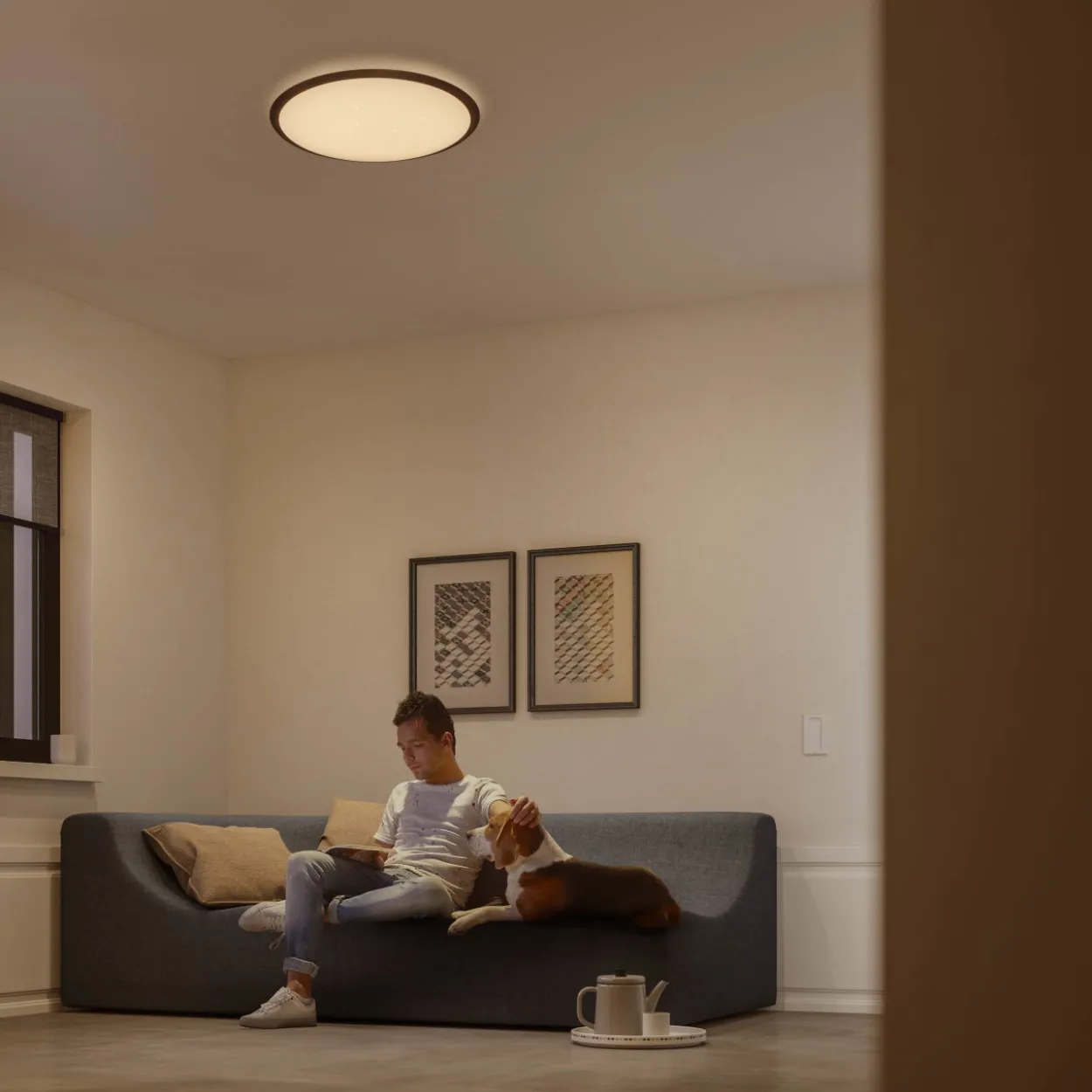 Kattovalaisin Philips Canaval 2700 K 18 W