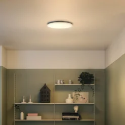 Kattovalaisin Philips Wawel Led Tunable 17 W