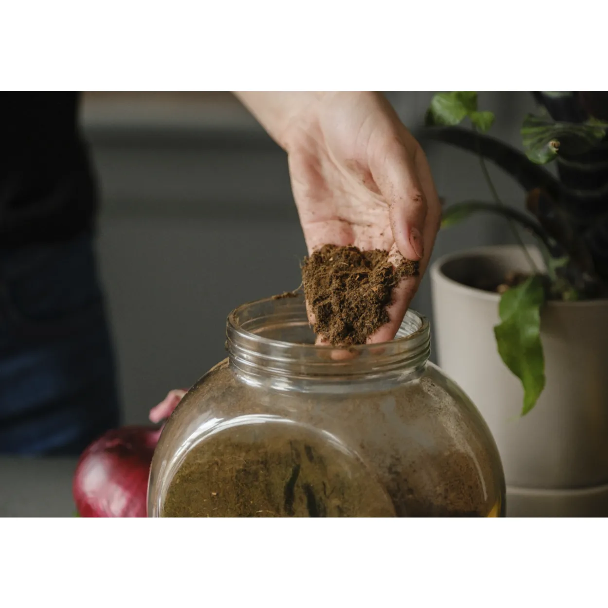 Keittiön ruokajätteen kierrätyskone FoodCycler Eco 3 musta
