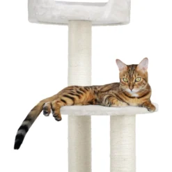 Kissan kiipeilypuu Real Cat Rondo 125 cm