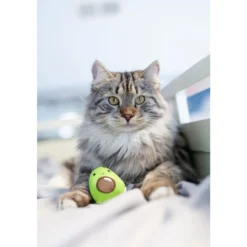 Kissanlelu Petstages Lil' Avocato
