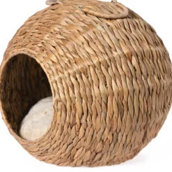 Kissan maja Jalo vesihyasintti