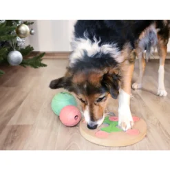 Koiran aktivointipeli Real Dog Koiran Viksu Herkkuhyrrä