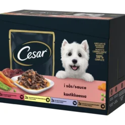 Koiranruoka Cesar 12 x 100 g Annospussilajitelma kastikkeessa