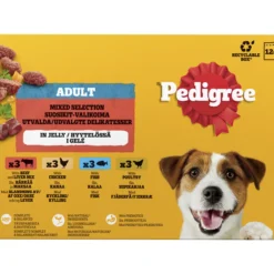 Koiranruoka Pedigree 12 x 100 g Favourites paloja hyytelössä