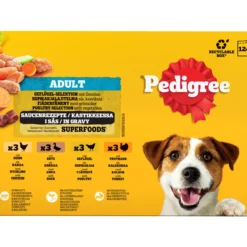 Koiranruoka Pedigree 12 x 100 g siipikarjalajitelma kastikkeessa