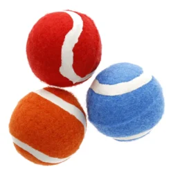Koiran vinkutennispallot Real Dog S 3 kpl