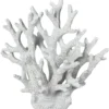 Koriste Kotikulta 17 cm Koralli