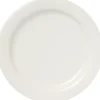 Lautanen 23cm Arctica