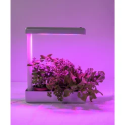 LED-kasvivalaisin Airam Herby Plant 10W/840 650 lm