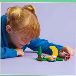 LEGO Animal Crossing 77053 Celeste ja upea tähtitaivas
