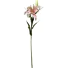 Lilja Kotikulta 58 cm