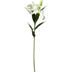 Lilja Kotikulta 58 cm