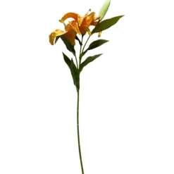 Lilja Kotikulta 58 cm