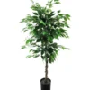 Limoviikuna Kotikulta 120 cm