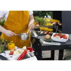 Marinointisetti BBQ King 2-osainen