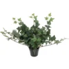 Muratti Kotikulta 23 cm ruukussa