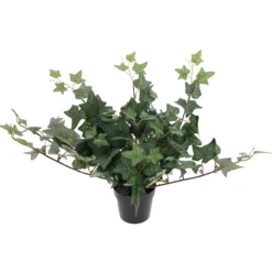 Muratti Kotikulta 23 cm ruukussa