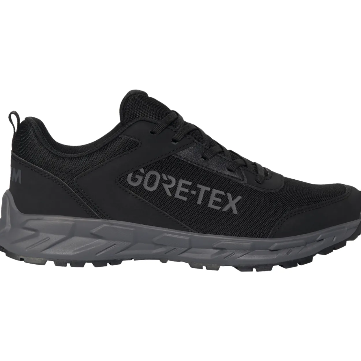 Naisten vedenpitävät trekkingkengät Aerym low Addison GTX