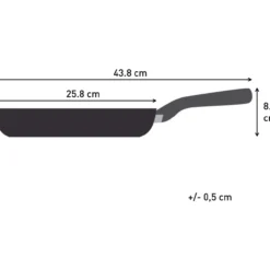 Paistinpannu Tefal 24 cm Expertise Plus