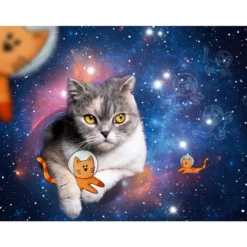 Palapeli Ravensburger 1500 palaa Cats In Space