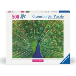 Palapeli Ravensburger 500 palaa Peacock
