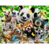 Palapeli Ravensburger Wildlife Selfie 300 palaa
