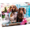 Palapeli Tactic 1000 palaa Dashing Dachshunds