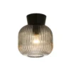 Plafondi Aneta Lighting Vanja